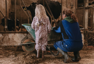 Un adulto e un bambino in pigiama da animale lavorano insieme in una stalla con mucche a De Oude Melkstal.