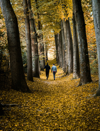 Deux personnes marchent sur un chemin couvert de feuilles en automne près de Valkenswaard, Pays-Bas.
