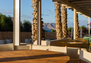 Udendørs terrasse på Wecamp Cabo de Gata i Andalusien, Spanien, med træbord, stole og palmer i sollys.
