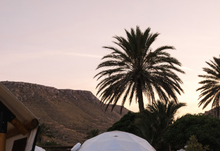 Glampingkupler og palmer ved solnedgang i ferieparken Wecamp Cabo de Gata, Andalusien, Spanien.