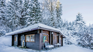 Chalet Catharina im Brixental, a cozy log cabin in a snowy forest landscape, surrounded by pine trees.