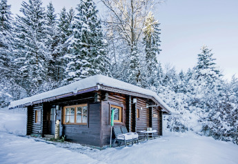 Chalet Catharina im Brixental, a cozy log cabin in a snowy forest landscape, surrounded by pine trees.