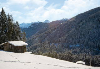 Sneklædt landskab med træbeklædt bjerg og chalet 'Almhütte Nase' i Østrig på en solrig vinterdag.