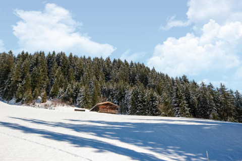 Chalet Almhütte Nase i Østrig om vinteren, omgivet af sneklædte fyrretræer og en blå himmel med skyer.
