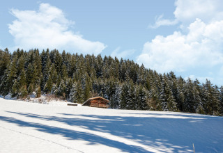 Chalet Almhütte Nase i Østrig om vinteren, omgivet af sneklædte fyrretræer og en blå himmel med skyer.