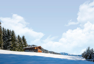 Sneklædt chalet, Almhütte Nase i Østrig, omgivet af fyrretræer og bjerge under en klar blå himmel.