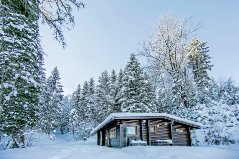 Snow-covered Chalet Catharina im Brixental in Austria, nestled among snowy trees in a peaceful winter setting.