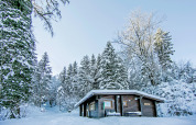 Snow-covered Chalet Catharina im Brixental in Austria, nestled among snowy trees in a peaceful winter setting.