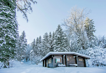 Snow-covered Chalet Catharina im Brixental in Austria, nestled among snowy trees in a peaceful winter setting.