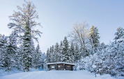 Chalet 'Catharina im Brixental' in Austria, surrounded by snowy trees and a picturesque winter landscape.