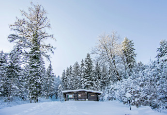 Chalet 'Catharina im Brixental' in Austria, surrounded by snowy trees and a picturesque winter landscape.