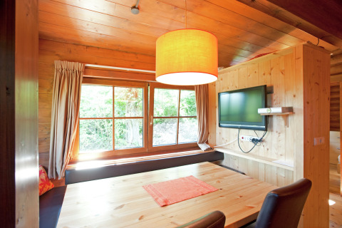 Cozy living space in Chalet «Catharina im Brixental» in Austria featuring wood decor, large windows and TV.
