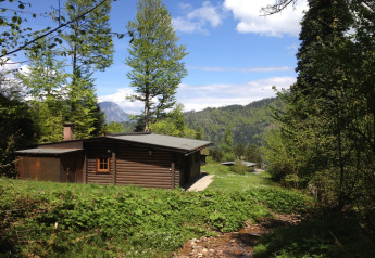 Chalet Catharina im Brixental in Austria, surrounded by green trees, hills and a small stream in foreground.