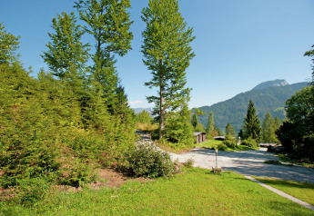 View of green trees, mountains, and Chalet Catharina im Brixental in Austria on a sunny, clear day.
