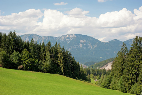 View from Chalet Catharina im Brixental in Austria, showing green slopes, forests and distant mountains.