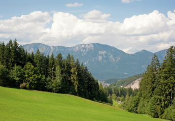 View from Chalet Catharina im Brixental in Austria, showing green slopes, forests and distant mountains.