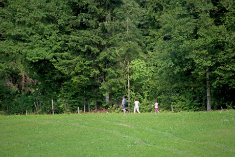 A family walks along the edge of a forest on a grassy field by Chalet «Catharina im Brixental» in Austria.