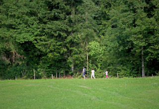 A family walks along the edge of a forest on a grassy field by Chalet «Catharina im Brixental» in Austria.