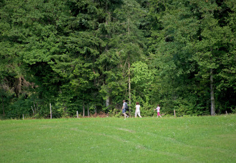 A family walks along the edge of a forest on a grassy field by Chalet «Catharina im Brixental» in Austria.