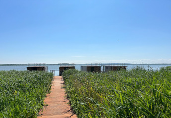 Wooden path leads through tall grass to houseboats on the water under blue sky in Denmark.