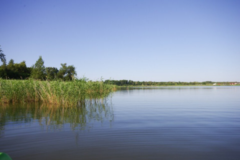 Uitzicht vanaf een woonboot over een rustige Deense meer met riet en bomen onder een blauwe lucht.