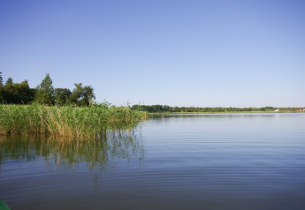 Zicht vanaf een woonboot op een rustige Deense meer met riet en bomen onder een heldere lucht.