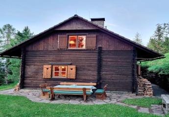 Billede af en hyggelig træchalet, Schneiderhütte, med udendørs siddepladser i Østrig omgivet af skov.