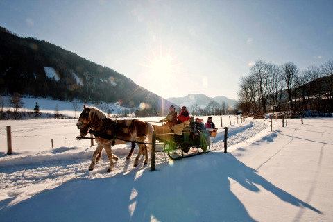 Pferdeschlittenfahrt mit Familien durch verschneite Landschaft bei einem Glamping-Aufenthalt im Winter.