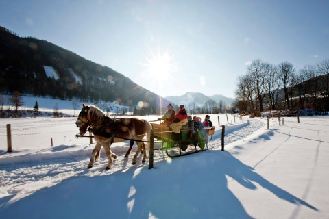 Slee rit met paarden en families door een besneeuwd landschap bij een glamping accommodatie in de winter.