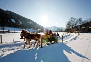 Slee rit met paarden en families door een besneeuwd landschap bij een glamping accommodatie in de winter.