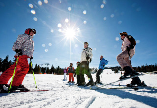Groep skiërs geniet van zonnige winterdag bij Kreischberg Chalets 28 in Oostenrijk onder blauwe hemel.