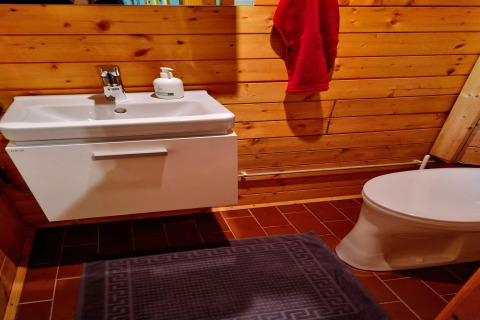 Badezimmer im Schneiderhütte-Chalet in Österreich mit weißem Waschbecken, WC und Holzwänden.