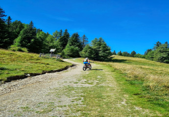 Person cykler på en grusvej nær Schneiderhütte-chaleten omgivet af grønne marker og skov i Østrig.