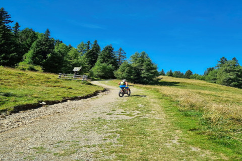 Radfahrer auf einem Schotterweg bei der Schneiderhütte in Österreich, umgeben von Wiesen und Wald.