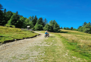 Radfahrer auf einem Schotterweg bei der Schneiderhütte in Österreich, umgeben von Wiesen und Wald.