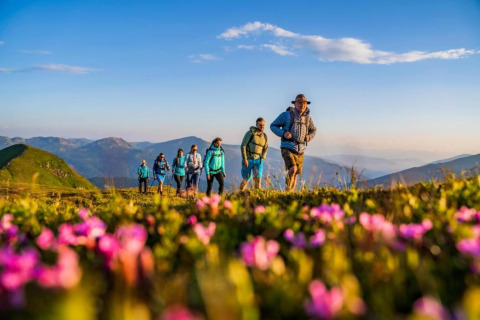 Wanderer genießen die Frühlingsblumen nahe der Schneiderhütte in Österreich bei sonnigem Wetter.