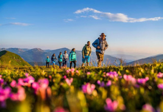 Wanderer genießen die Frühlingsblumen nahe der Schneiderhütte in Österreich bei sonnigem Wetter.