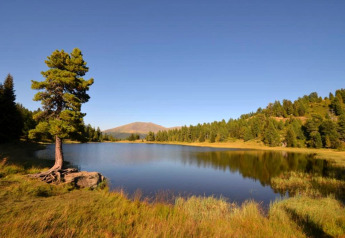 Smuk udsigt over en sø og træer ved Schneiderhütte-chalet i Østrig på en klar, solrig dag.