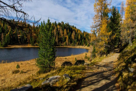 Blick von der Schneiderhütte in Österreich auf einen ruhigen See, umgeben von herbstlichem Wald.