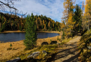 Blick von der Schneiderhütte in Österreich auf einen ruhigen See, umgeben von herbstlichem Wald.
