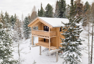 Treehouse named 'Nature chalets Turracher Höhe 1' surrounded by snowy trees in Austria during winter.