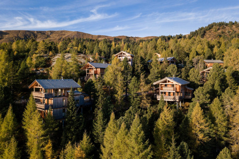 Wooden chalets nestled among pine trees in the mountains at Alpenpark Turrach 21, Austria, under blue sky.