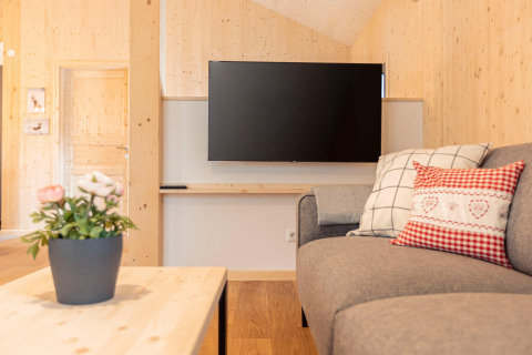 Modern living room in a treehouse with sofa, cushions, flat-screen TV, wood walls and potted plant.