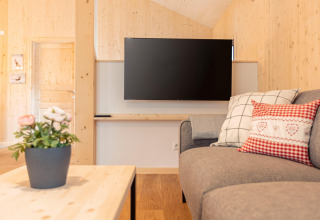 Moderne woonkamer in boomhut met bank, kussens, flatscreen-tv, houten wanden en bloempot op tafel.