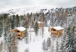 Sneeuwbedekte houten chalets in het bos bij Turracher Höhe, Oostenrijk, omringd door witte bergen.