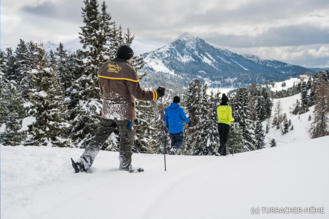 People walking in snow facing mountain views at Nature Chalets Turracher Höhe tree house in Austria.