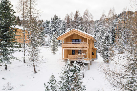 Boomhut Nature chalets Turracher Höhe 1 omringd door besneeuwde bomen in een rustige winterse omgeving.