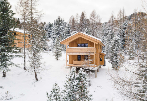 Treehouse called Nature chalets Turracher Höhe 1 surrounded by snowy trees in a peaceful winter forest.