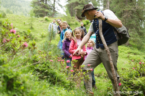Kinderen en volwassenen ontdekken alpenbloemen tijdens een wandeling met gids op Turracher Höhe, Oostenrijk.