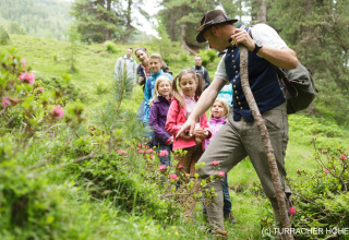 Kinderen en volwassenen ontdekken alpenbloemen tijdens een wandeling met gids op Turracher Höhe, Oostenrijk.
